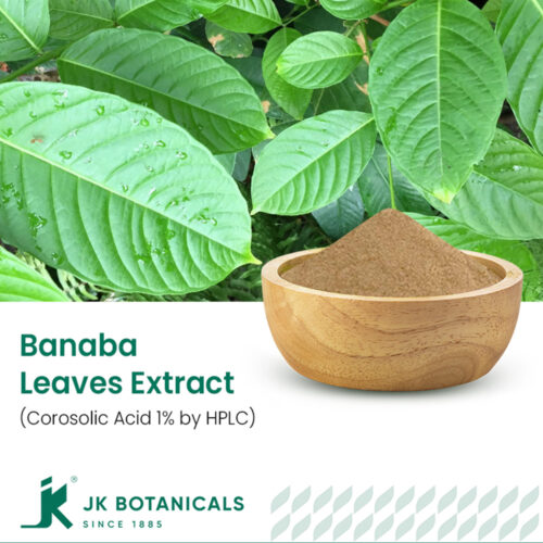 1-2 Taste JK Botanicals - Banaba Leaves Extract Corosolic Acid 1% by HPLC in wooden bowl with fresh banaba leaves beside